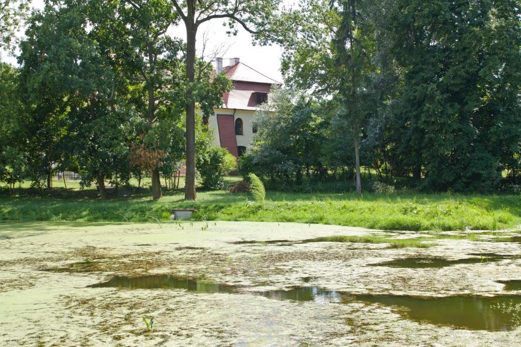 Palac Kietlin Niemcza Exterior foto